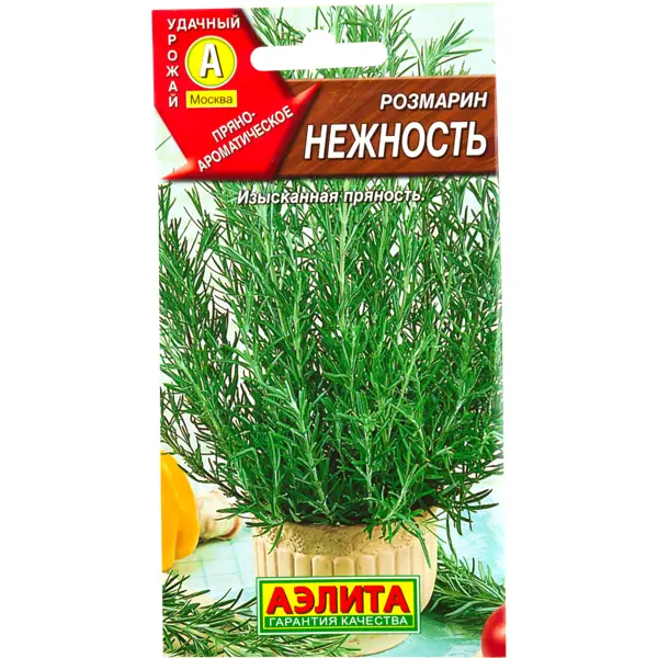 Семена Розмарин Нежность
