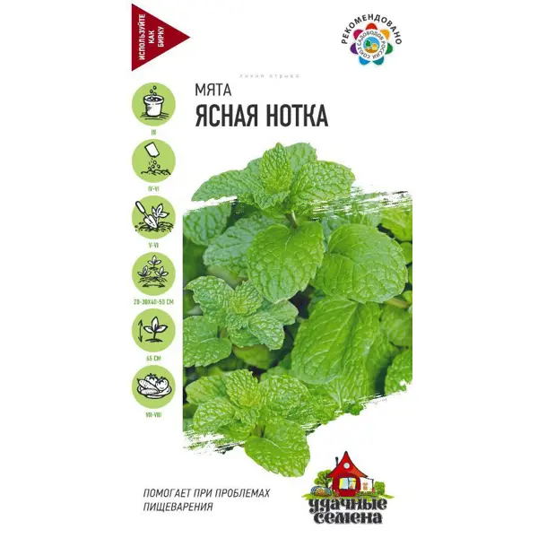Семена Мята «Ясная нотка» DH