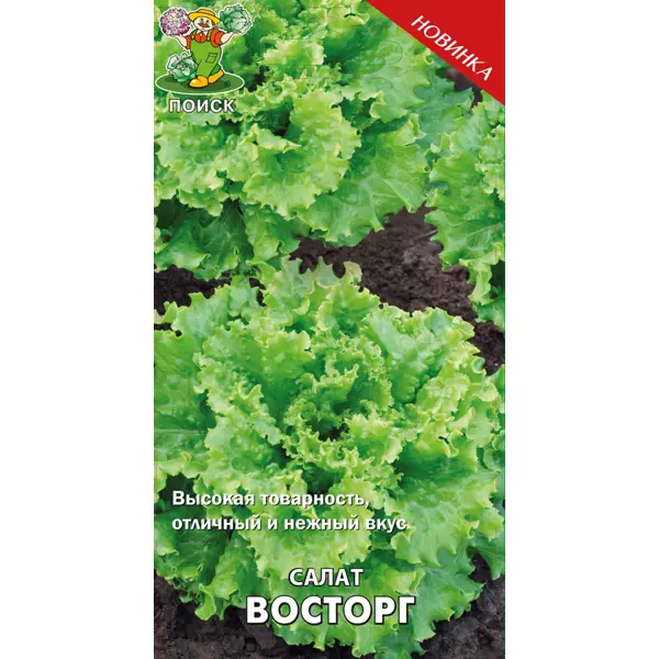 Семена Салат «Восторг» (А)