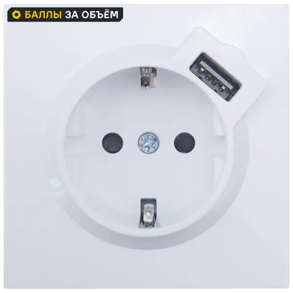 Розетка USB встраиваемая Lezard Zima с заземлением цвет белый