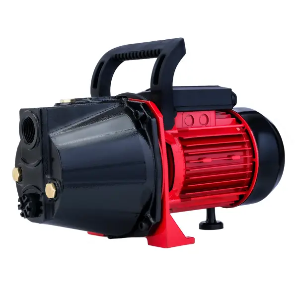 Насос садовый поверхностный Lepump P-1100C/4800/50