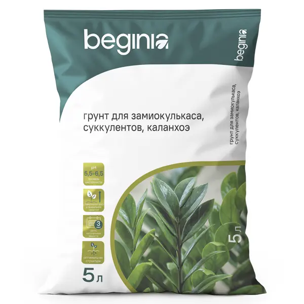 Грунт BEGINIA для замиокулькаса и суккулентов 5 л