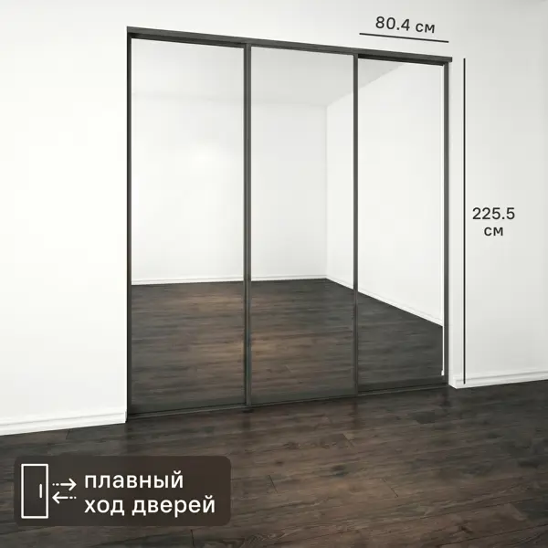 Дверь-купе KONSENSA 225.5x80.4 см с зеркалом профиль черный
