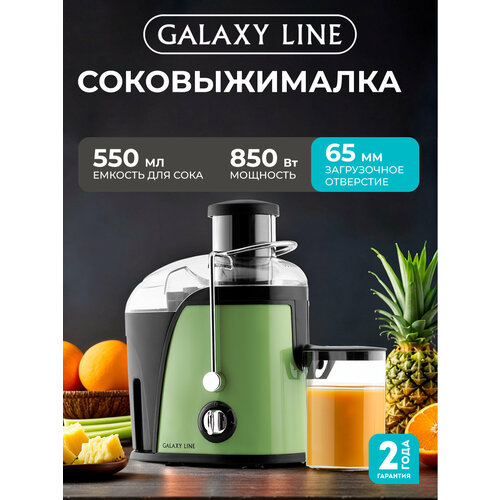 Соковыжималка GALAXY LINE GL0815