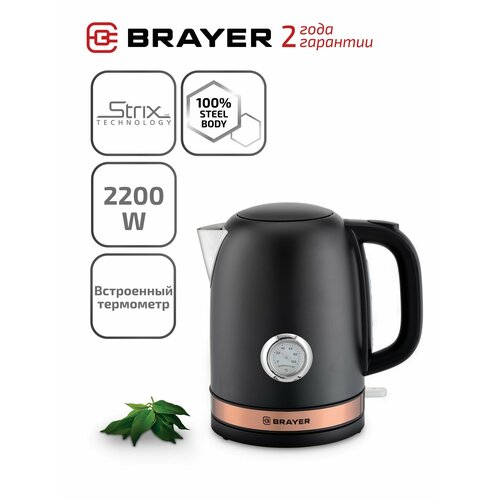 Чайник BRAYER BR1005 Global
