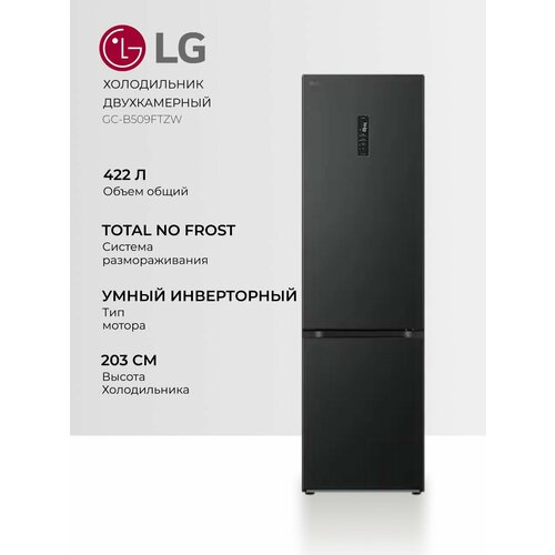 Холодильник LG GC-B509FTZW