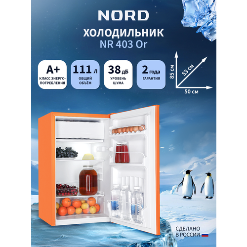 Холодильник NORD NR 403 Or однокамерный с НТО